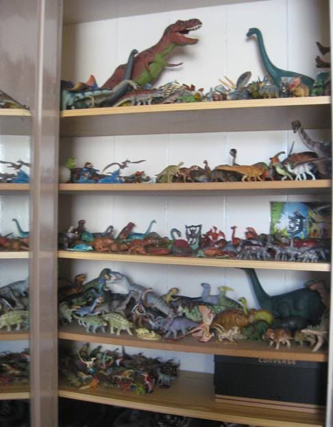 dino display